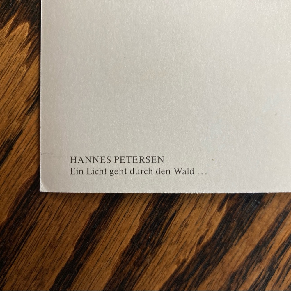 Vintage Unused Hannes Petersen Christmas Winter Child Postcard Made in Germany - Picture 7 of 7